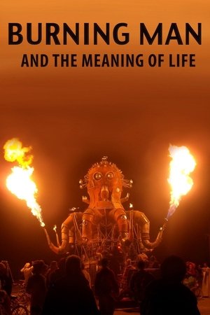 Burning Man and the Meaning of Life Poster