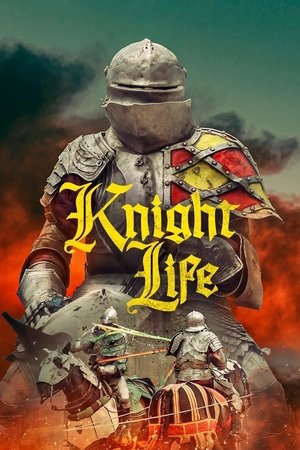 Knight Life Poster