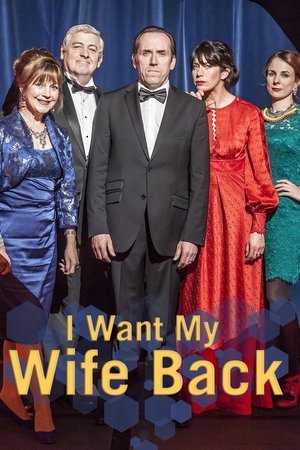 I Want My Wife Back Poster