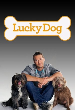 Lucky Dog Poster