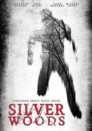Silver Woods Poster