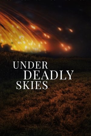 Under Deadly Skies: Ukraine's Eastern Front Poster