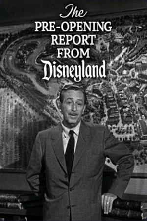 The Pre-Opening Report from Disneyland Poster
