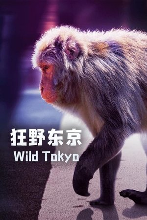 Wild Tokyo Poster