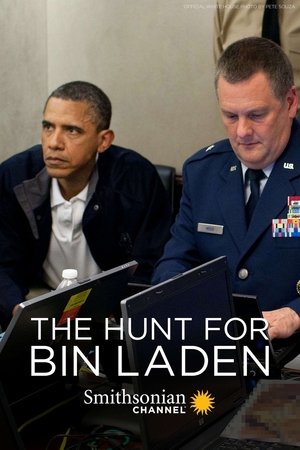 The Hunt For Bin Laden Poster
