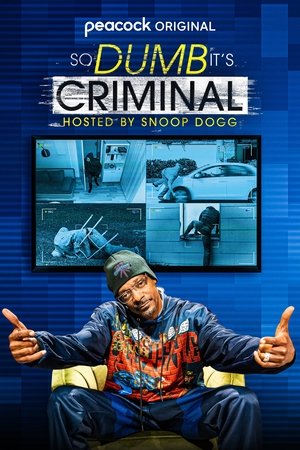 So Dumb it's Criminal Hosted by Snoop Dogg Poster