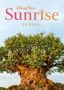 Disney Parks Sunrise Poster